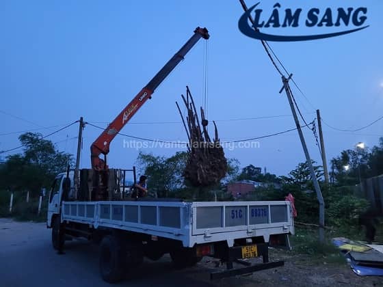 Dịch Vụ Thuê Xe Cẩu Quận Tân Bình – Top 5 Địa Chỉ Uy Tín Nhất